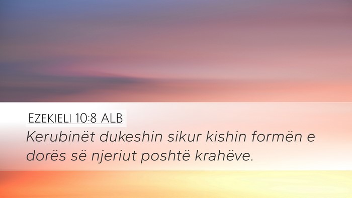 Ezekieli 10:8 ALB Bible Verse Image