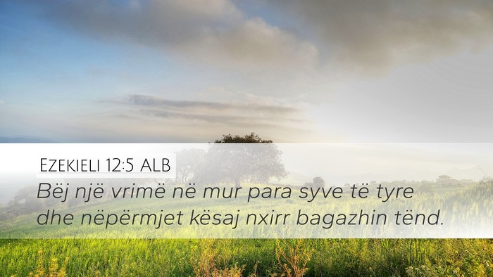 Ezekieli 12:5 ALB Bible Verse Image