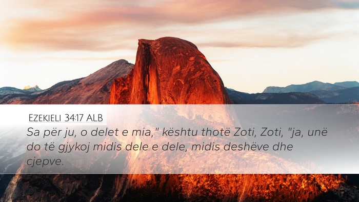 Ezekieli 34:17 ALB Bible Verse Image
