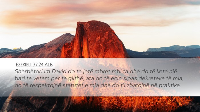 Ezekieli 37:24 ALB Bible Verse Image
