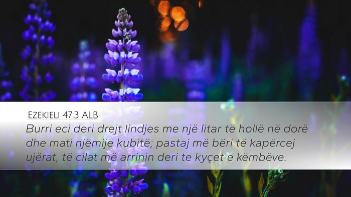 Ezekieli 47:3 ALB Bible Verse Image