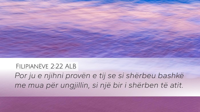 Filipianëve 2:22 ALB Bible Verse Image