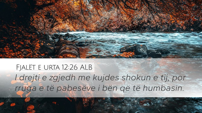 Fjalët e urta 12:26 ALB Bible Verse Image