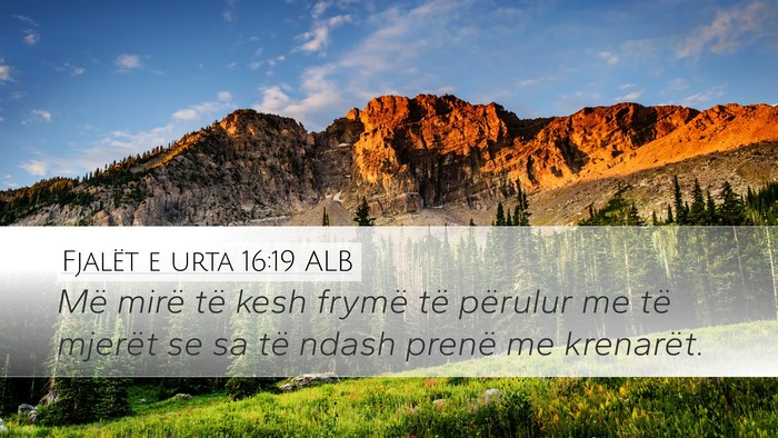 Fjalët e urta 16:19 ALB Bible Verse Image