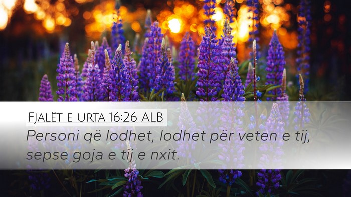 Fjalët e urta 16:26 ALB Desktop Wallpaper - Personi që lodhet, lodhet për veten e tij, - Desktop Bible Verse Wallpaper