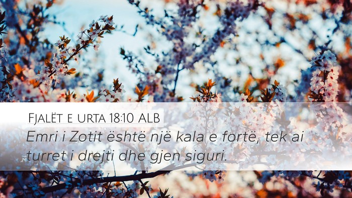Fjalët e urta 18:10 ALB Bible Verse Image