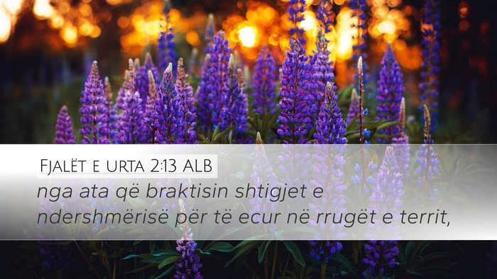 Fjalët e urta 2:13 ALB Bible Verse Image