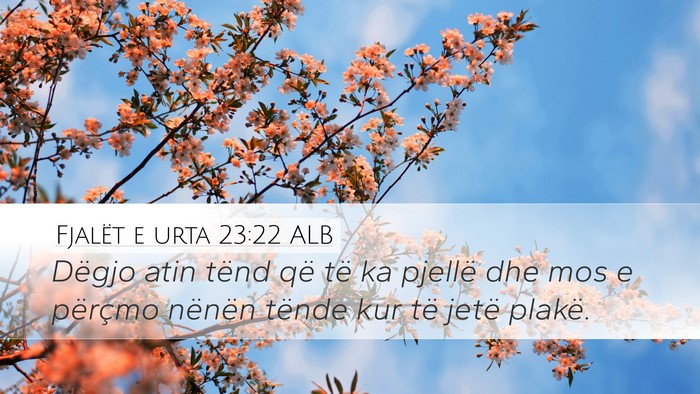 Fjalët e urta 23:22 ALB Bible Verse Image