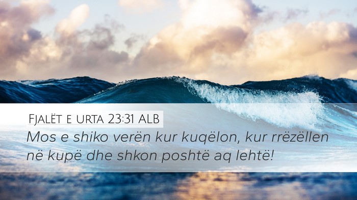 Fjalët e urta 23:31 ALB Bible Verse Image