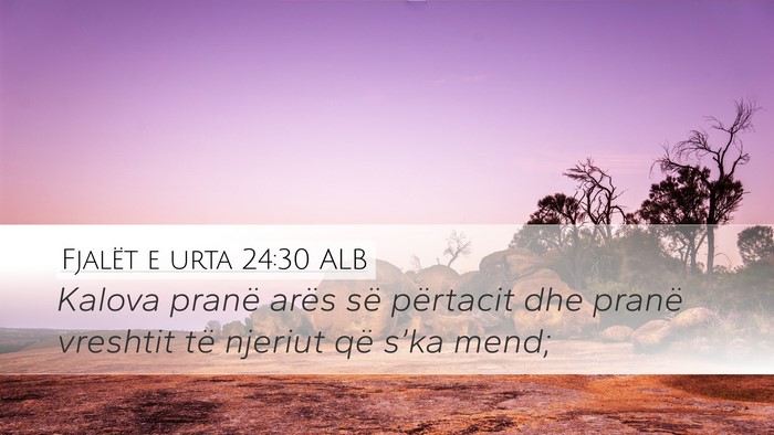 Fjalët e urta 24:30 ALB Bible Verse Image