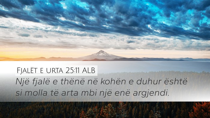 Fjalët e urta 25:11 ALB Bible Verse Image
