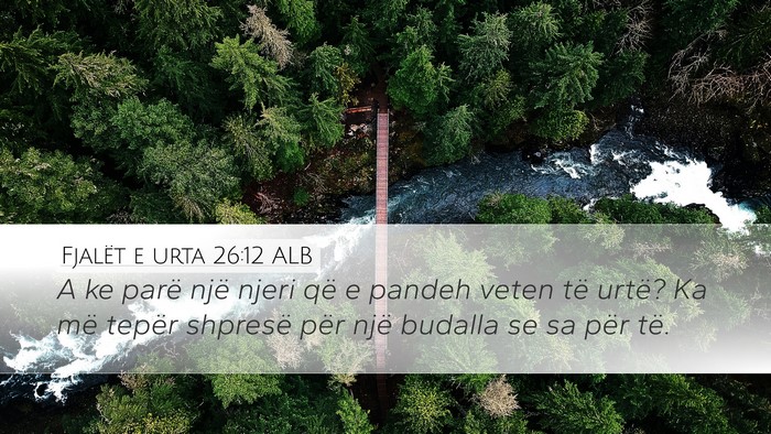 Fjalët e urta 26:12 ALB Bible Verse Image