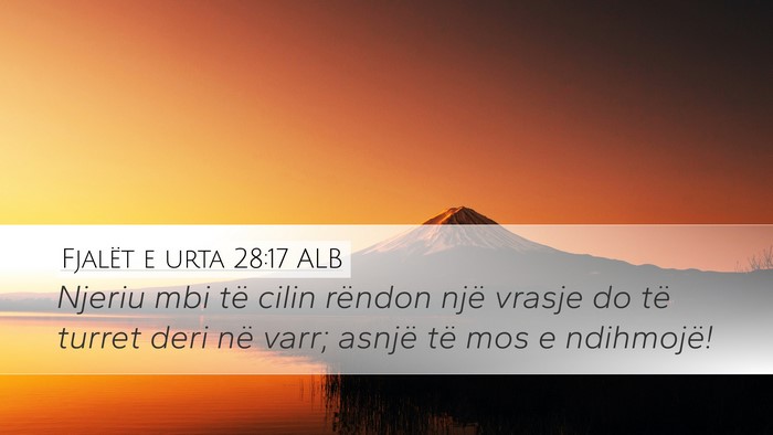 Fjalët e urta 28:17 ALB Bible Verse Image
