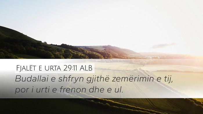 Fjalët e urta 29:11 ALB Bible Verse Image