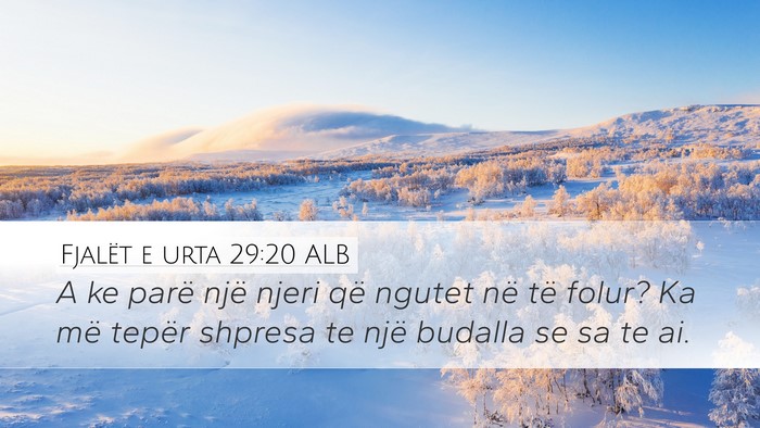 Fjalët e urta 29:20 ALB Bible Verse Image
