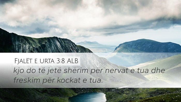 Fjalët e urta 3:8 ALB Bible Verse Image