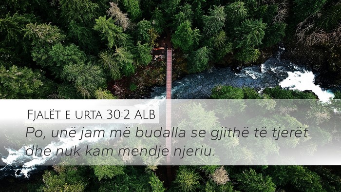 Fjalët e urta 30:2 ALB Bible Verse Image