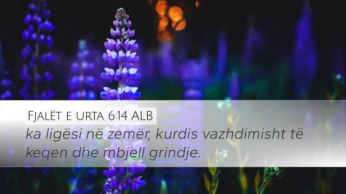 Fjalët e urta 6:14 ALB Bible Verse Image