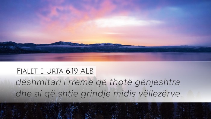 Fjalët e urta 6:19 ALB Bible Verse Image