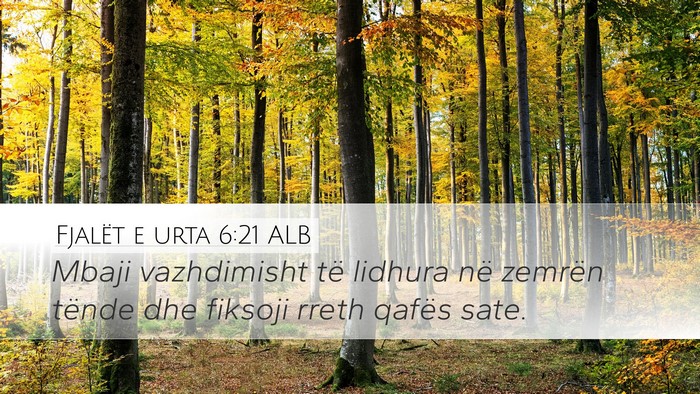 Fjalët e urta 6:21 ALB Bible Verse Image