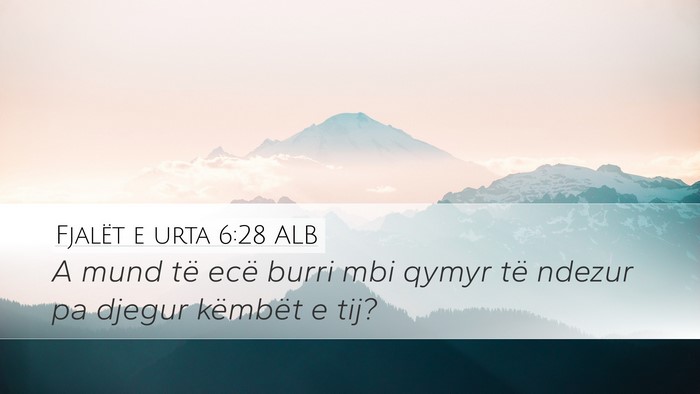 Fjalët e urta 6:28 ALB Desktop Wallpaper - A mund të ecë burri mbi qymyr të ndezur pa - Desktop Bible Verse Wallpaper