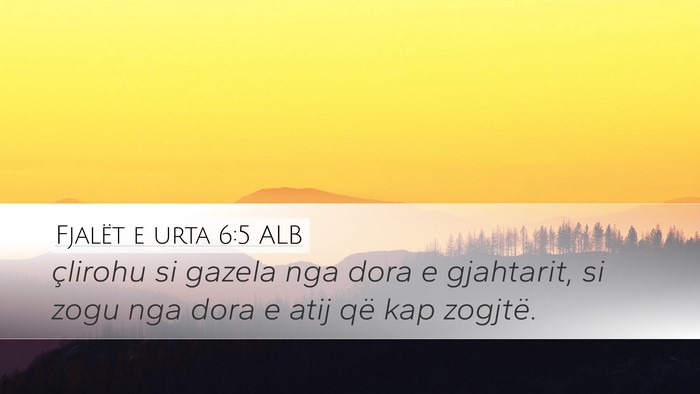 Fjalët e urta 6:5 ALB Bible Verse Image