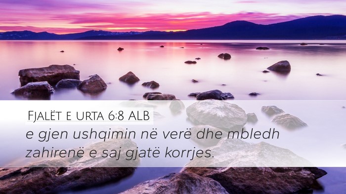 Fjalët e urta 6:8 ALB Bible Verse Image