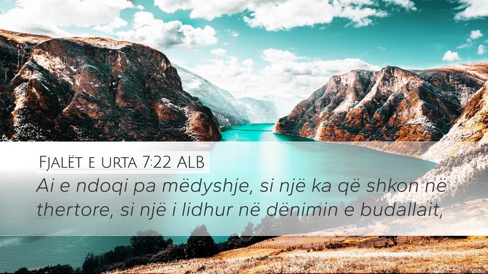 Fjalët e urta 7:22 ALB Bible Verse Image