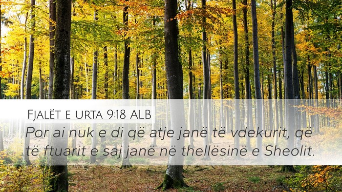 Fjalët e urta 9:18 ALB Bible Verse Image