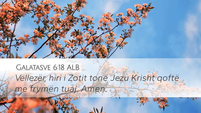 Galatasve 6:18 ALB Bible Verse Image