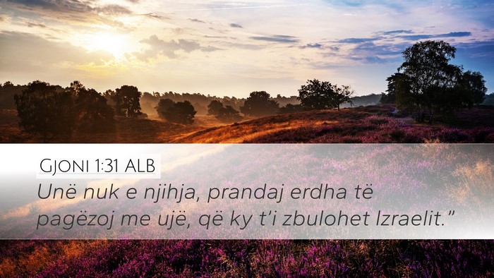 Gjoni 1:31 ALB Bible Verse Image
