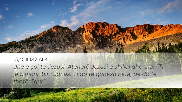 Gjoni 1:42 ALB Bible Verse Image