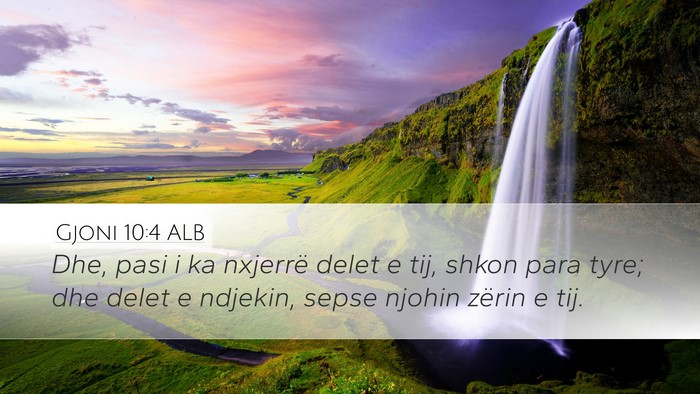 Gjoni 10:4 ALB Bible Verse Image