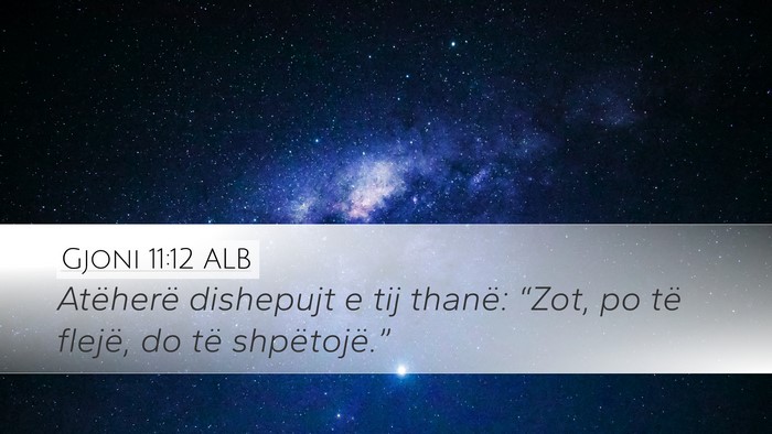 Gjoni 11:12 ALB Desktop Wallpaper - Atëherë dishepujt e tij thanë: “Zot, po të - Desktop Bible Verse Wallpaper