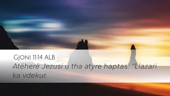 Gjoni 11:14 ALB Desktop Wallpaper - Atëherë Jezusi u tha atyre haptas: “Llazari - Desktop Bible Verse Wallpaper