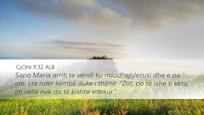 Gjoni 11:32 ALB Desktop Wallpaper - Sapo Maria arriti te vendi ku ndodhej Jezusi dhe - Desktop Bible Verse Wallpaper