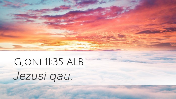 Gjoni 11:35 ALB Bible Verse Image
