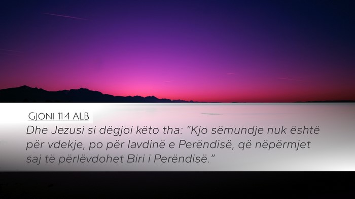 Gjoni 11:4 ALB Bible Verse Image