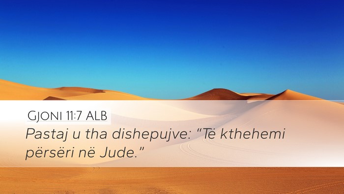 Gjoni 11:7 ALB Bible Verse Image