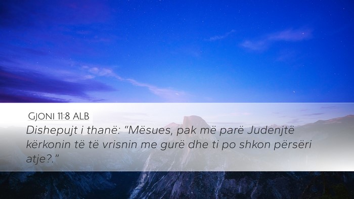 Gjoni 11:8 ALB Bible Verse Image