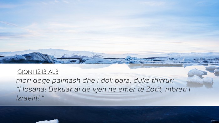 Gjoni 12:13 ALB Bible Verse Image