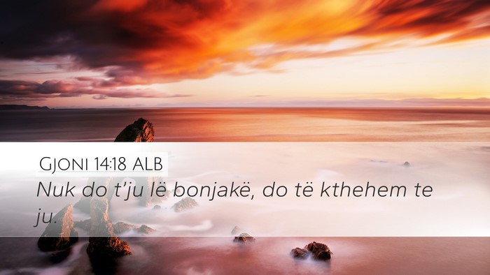 Gjoni 14:18 ALB Bible Verse Image