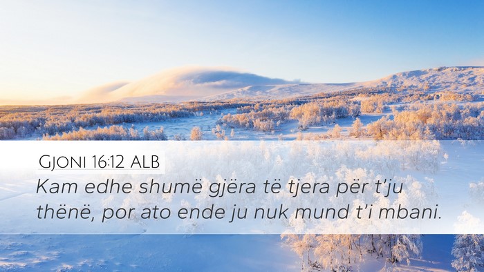 Gjoni 16:12 ALB Bible Verse Image