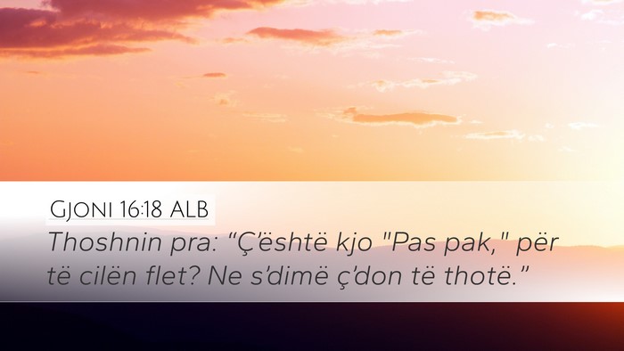 Gjoni 16:18 ALB Bible Verse Image