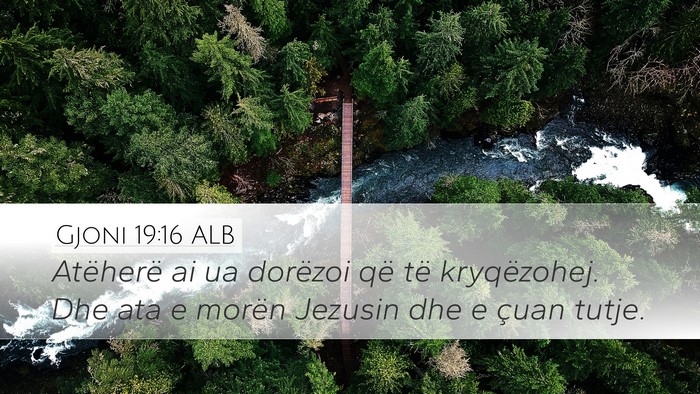 Gjoni 19:16 ALB Bible Verse Image