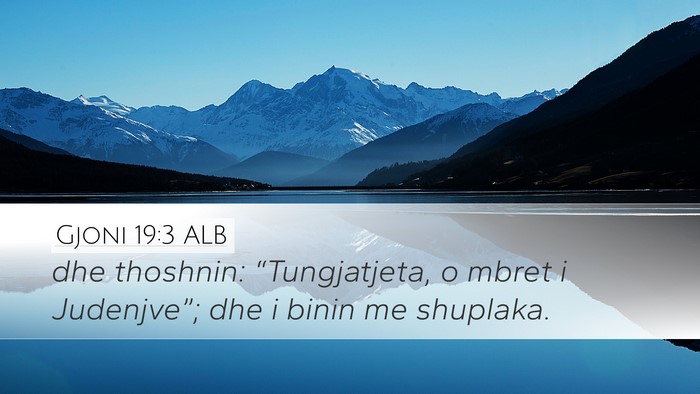 Gjoni 19:3 ALB Bible Verse Image
