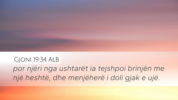 Gjoni 19:34 ALB Bible Verse Image