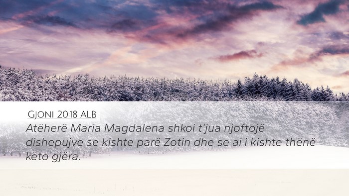 Gjoni 20:18 ALB Bible Verse Image