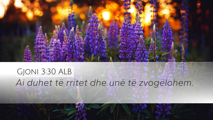 Gjoni 3:30 ALB Desktop Wallpaper - Ai duhet të rritet dhe unë të - Desktop Bible Verse Wallpaper