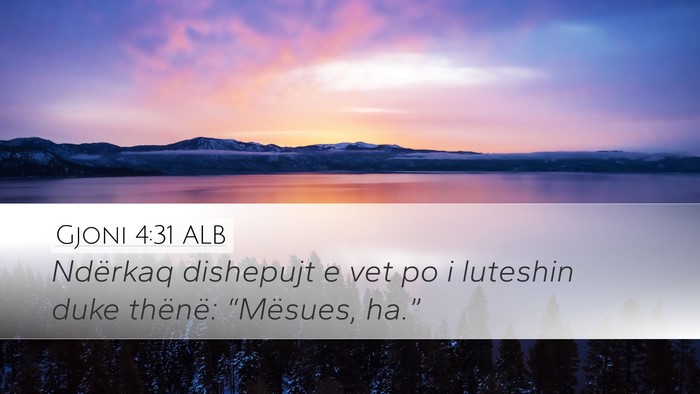Gjoni 4:31 ALB Bible Verse Image